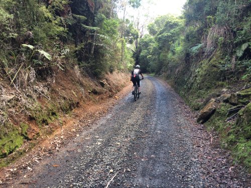 Kaihu Valley Trail August update